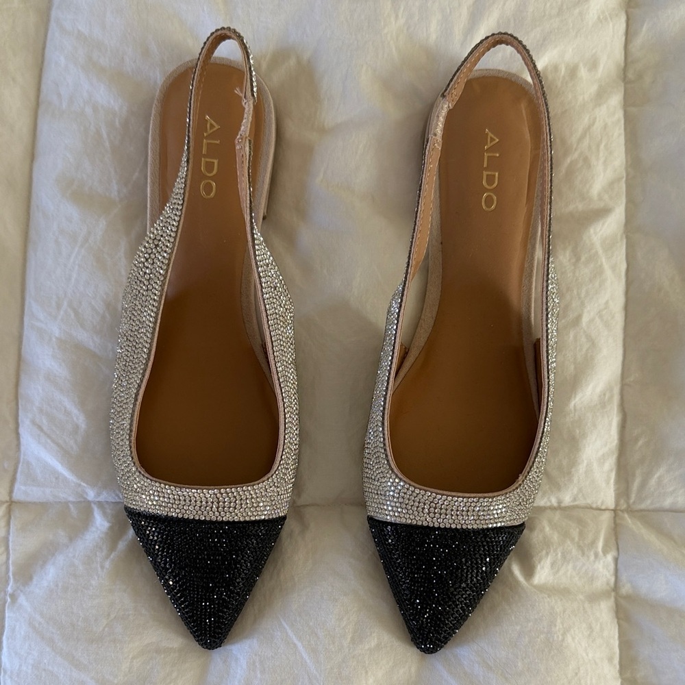 ALDO Women's Fleure Ballet Flat